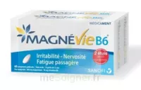 Magnevie B6 100 Mg/10 Mg Comprimés Pelliculés 2plq/60 (120) à NOROY-LE-BOURG