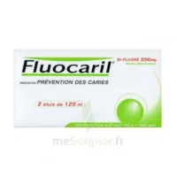 Fluocaril Bi-fluoré 250 Mg Pâte Dentifrice Menthe 2t/125ml à NOROY-LE-BOURG